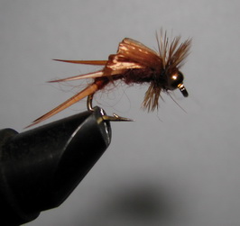 ���� ����� Scud Devil Rusty Brown nymph ������ � 10 (Scud)